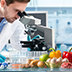 Diplomado Gestión en Inocuidad de Alimentos Basado en la Norma ISO 22000:2018